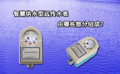 智慧供水型远传水表由哪些部分组成？