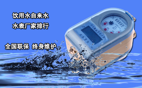 饮用水自来水水表厂家排行
