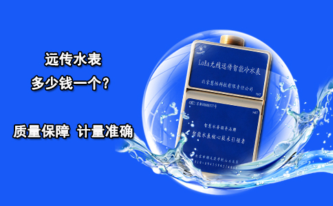 远传水表多少钱一个？