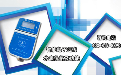 智能电子远传水表价格及功能