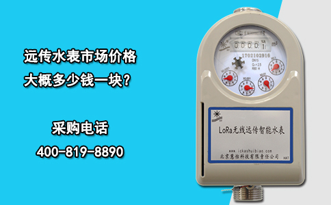 远传水表市场价格大概多少钱一块？