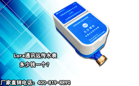 Lora通讯远传水表多少钱一个？