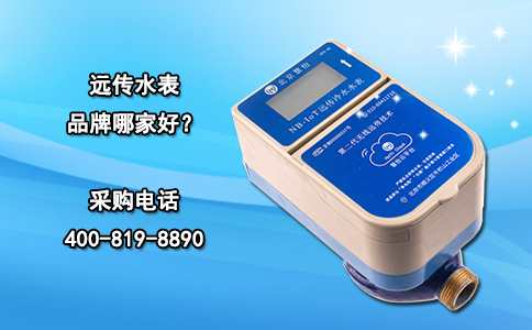 远传水表品牌哪家好？