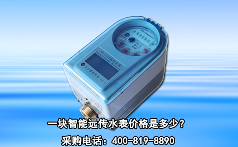 一块智能远传水表价格是多少？
