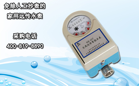免除人工抄表的家用远传水表