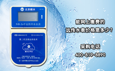 能网上缴费的远传水表价格是多少？