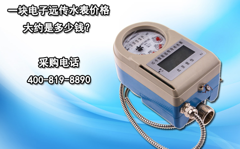 一块电子远传水表价格大约是多少钱？