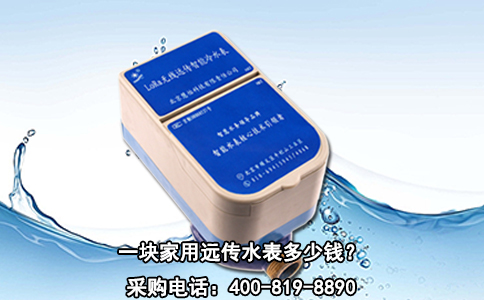 一块家用远传水表多少钱？