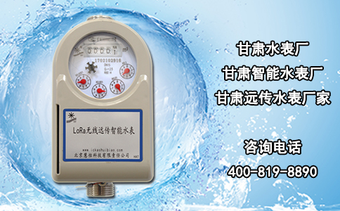 甘肃水表厂