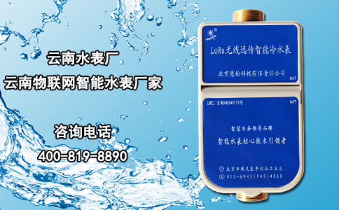 云南水表厂