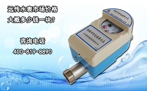远传水表市场价格大概多少钱一块？